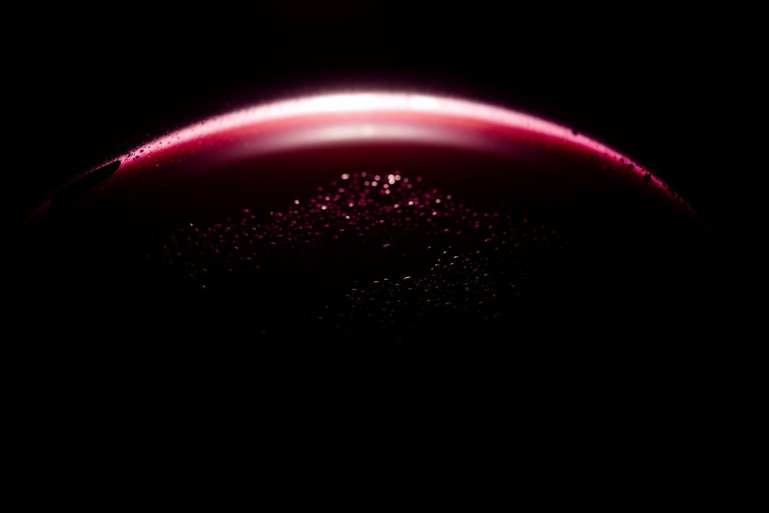 Dark wine sediment at the bottom of a glass carboy, illuminated from behind